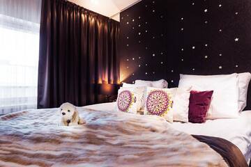 Фотографии Отель Arctic Light Hotel г. Рованиеми (Финляндия) №3 Фото Отель Arctic Light Hotel г. Рованиеми 3